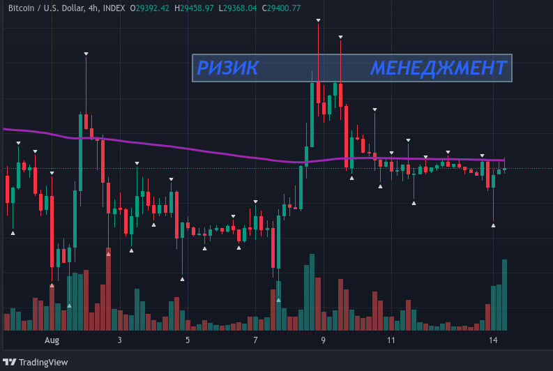 Розмір плеча та розмір позиції